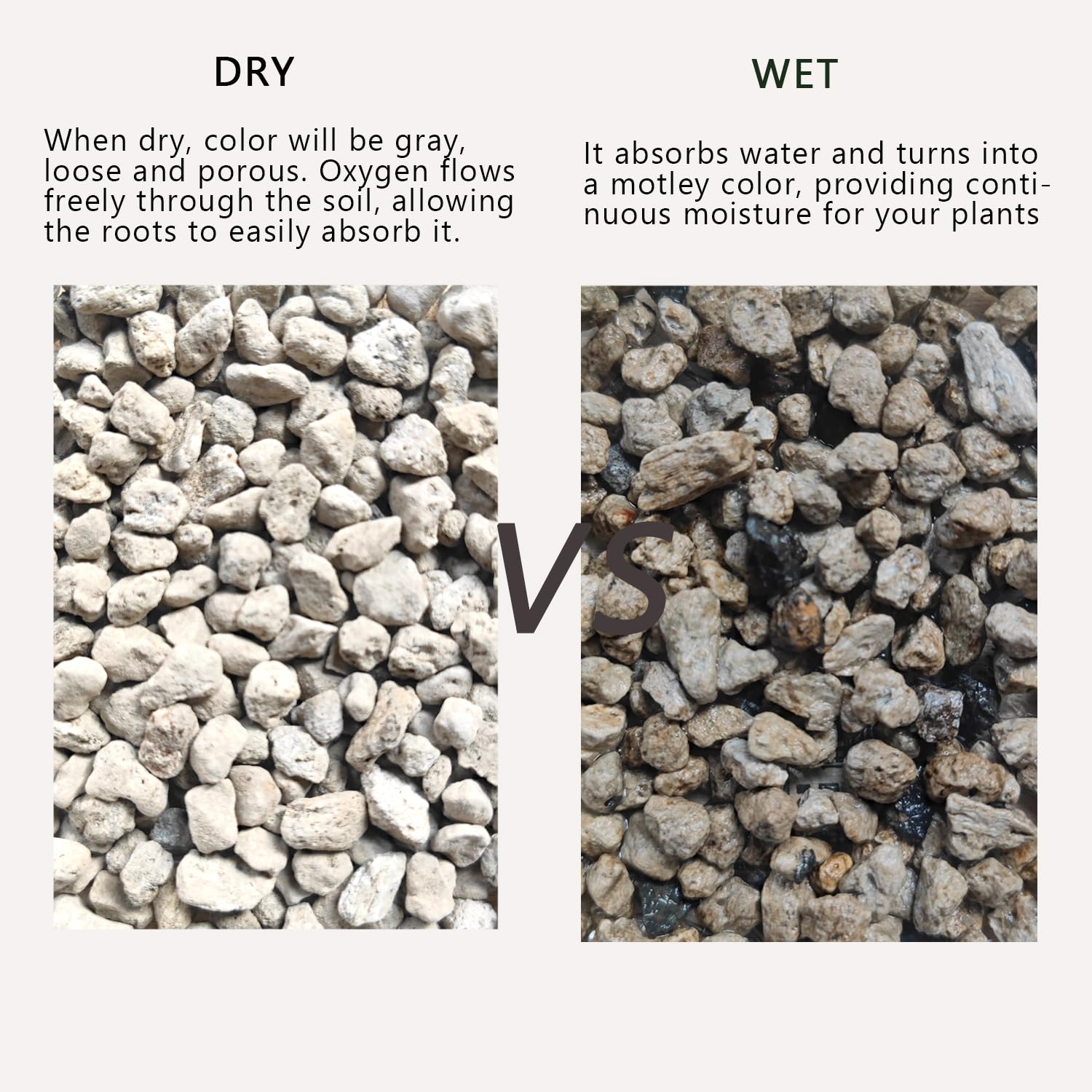 Rurtsva pumice mixed with bonsai soils supports healthy moisture balance.