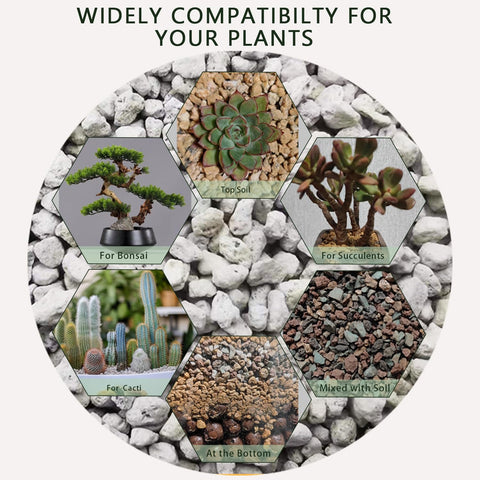 Rurtsva pumice garden-outdoor-use supports soil health for diverse plants.