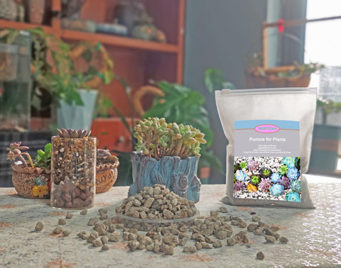 Rurtsva 2qt bag shown ready to blend into garden soil and planters.