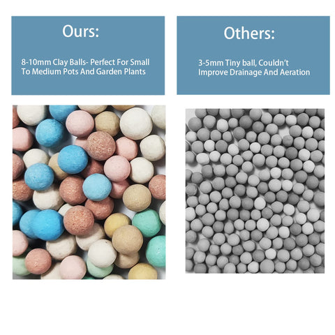 Rurtsva succulent pebbles offer gentle root protection and decoration.