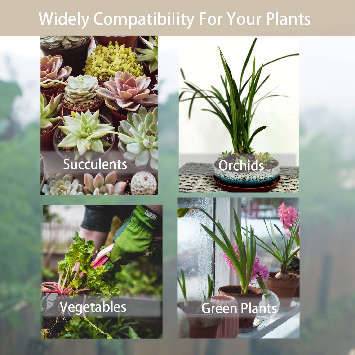 Rurtsva vermiculite aids rooting cuttings and propagation.