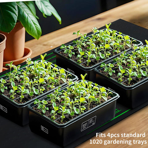 Ruyyi indoor gardening setup for germination and seed starting