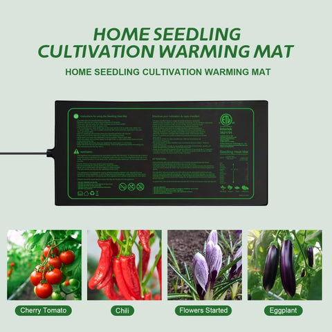 Ruyyi home brewing setup benefits from controlled warmth for germination.