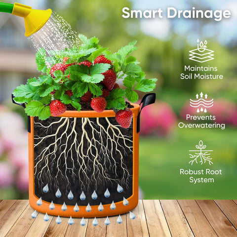 RVZHI breathable woven felt supports healthy roots and moisture