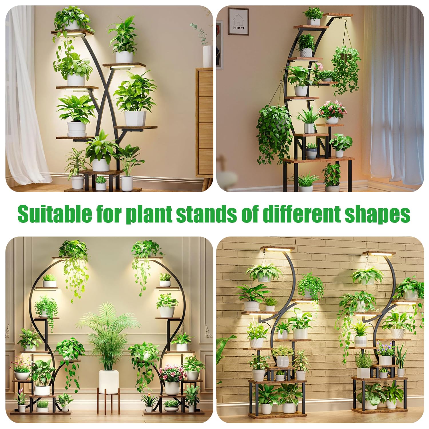 RWNTAO suitable for flowers, vegetables, and succulents on shelves.