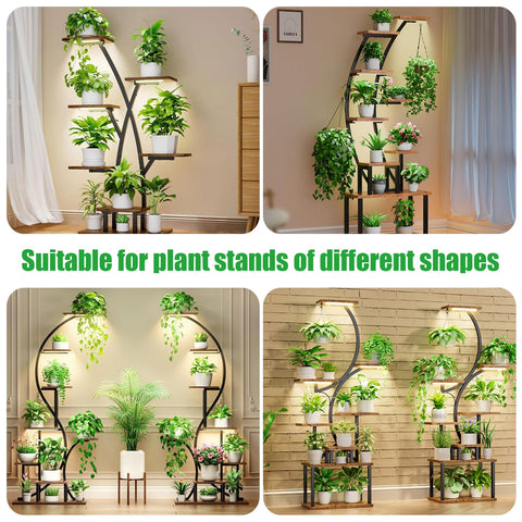 RWNTAO suitable for flowers, vegetables, and succulents on shelves.