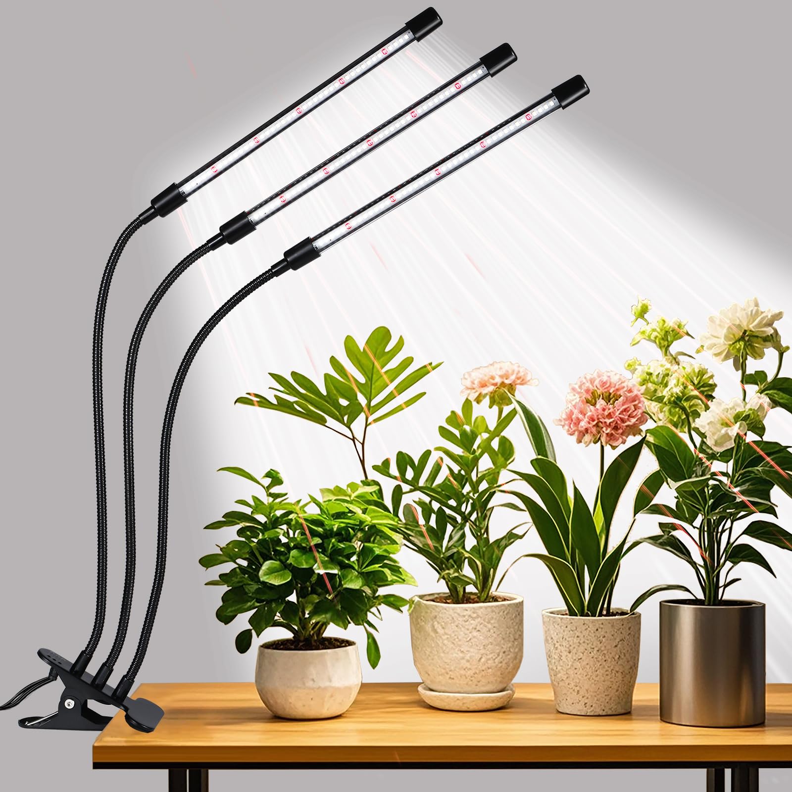 RWNTAO 3-head grow light front view showing compact three-head design for even coverage