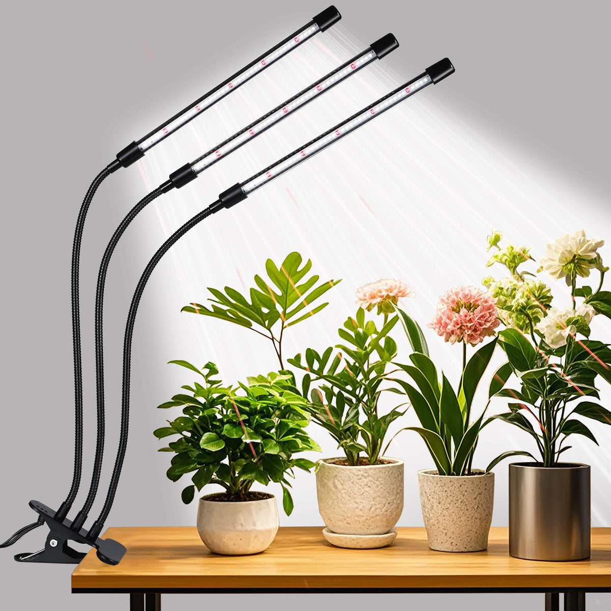 RWNTAO 3-head grow light front view showing compact three-head design for even coverage
