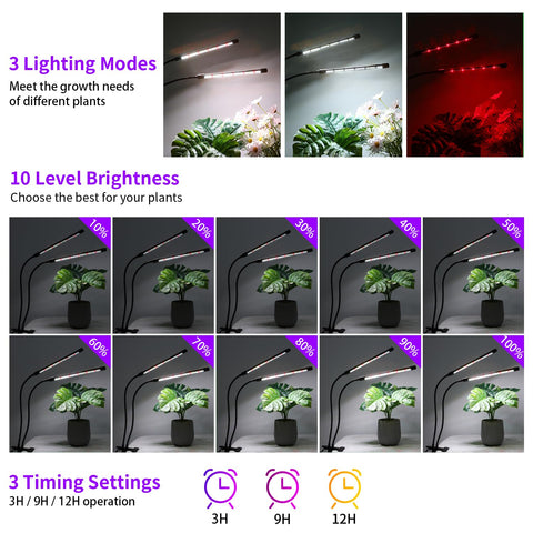 RWNTAO auto-timer function ensuring consistent daily lighting.