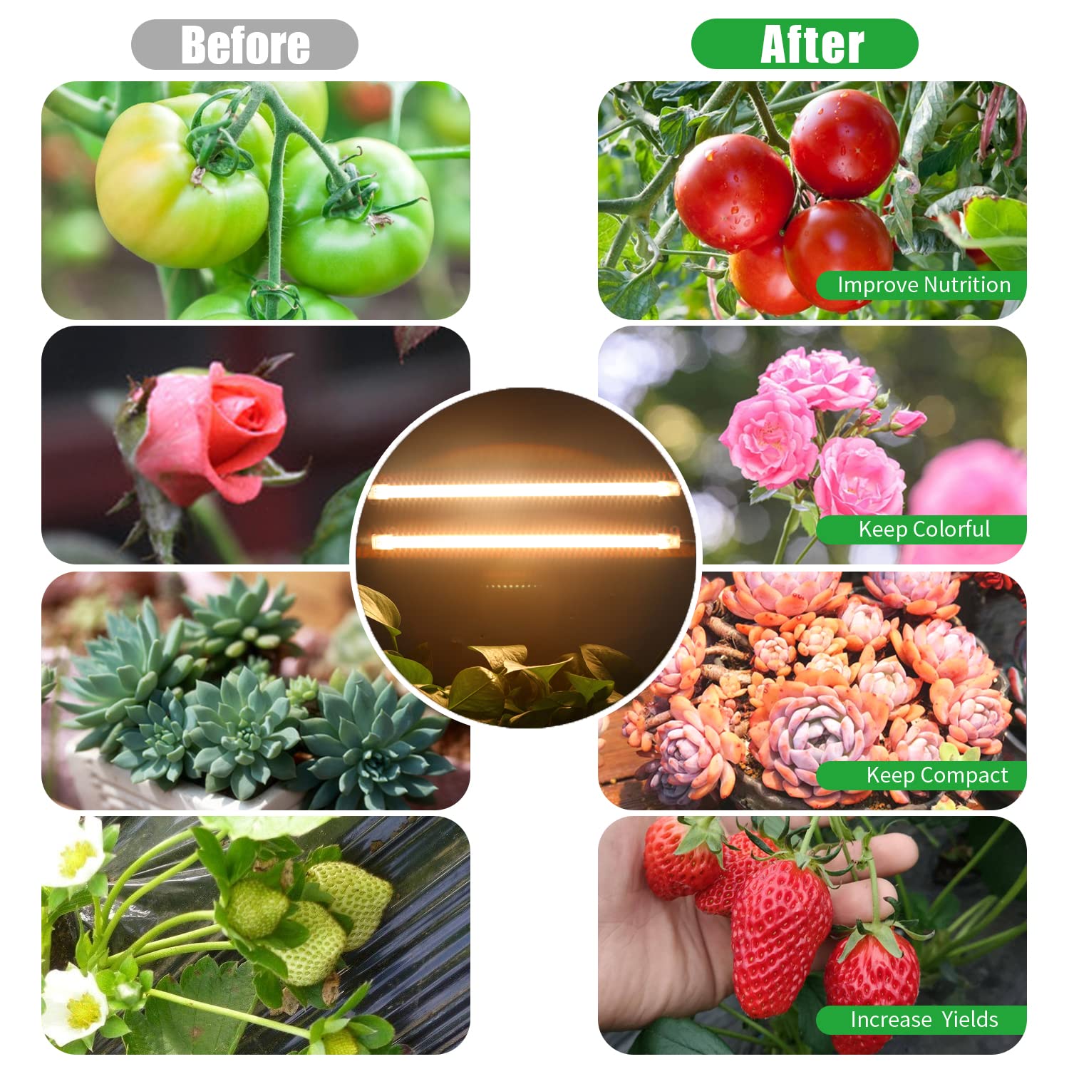 RWNTAO brightness level display highlights 10 dimmable settings.