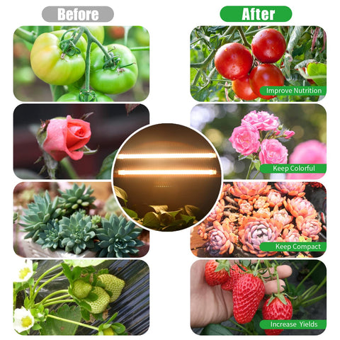 RWNTAO brightness level display highlights 10 dimmable settings.