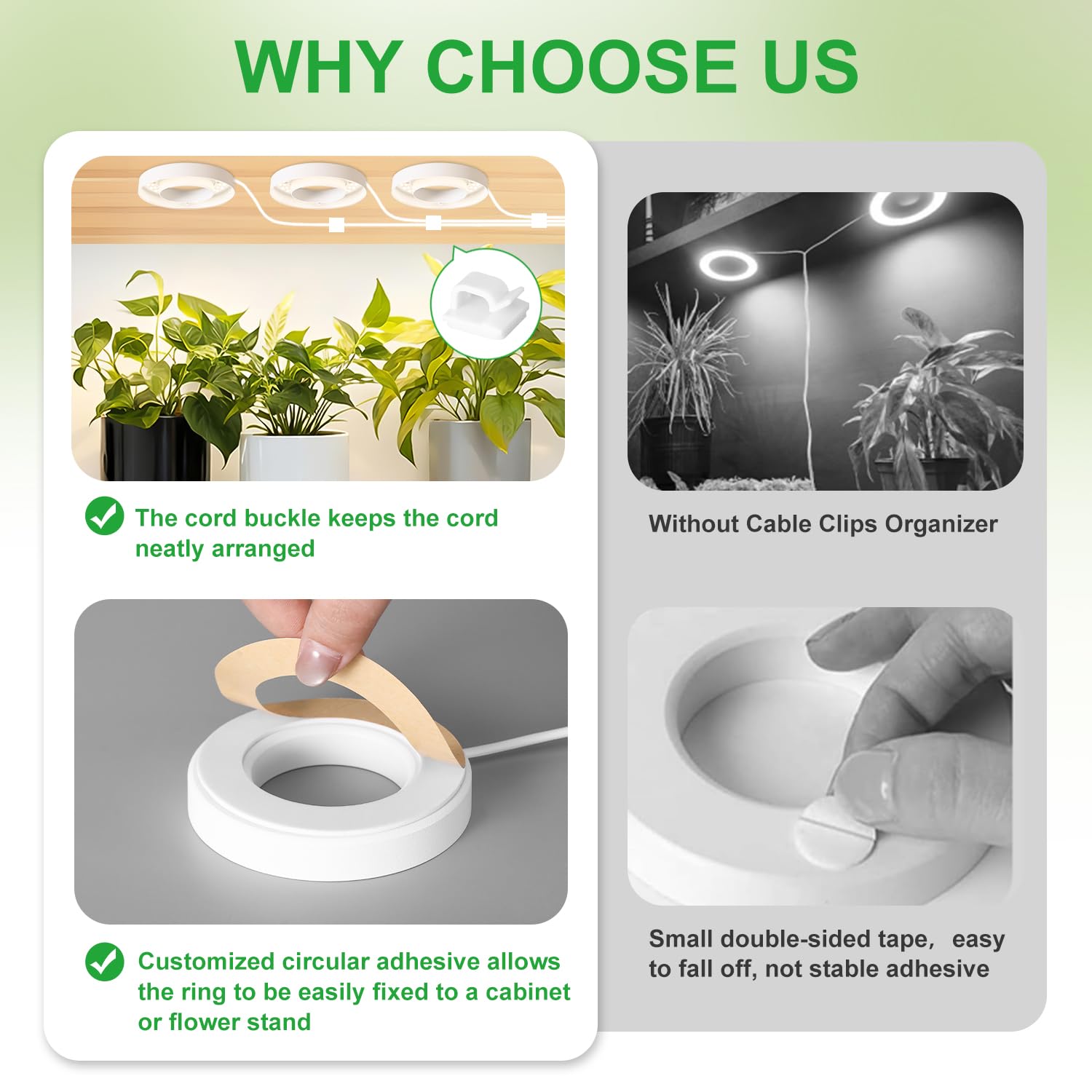 RWNTAO compact round design suits small potted plants on a shelf