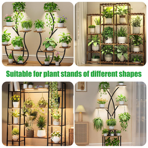 RWNTAO compact grow light on office shelf boosts indoor greenery.