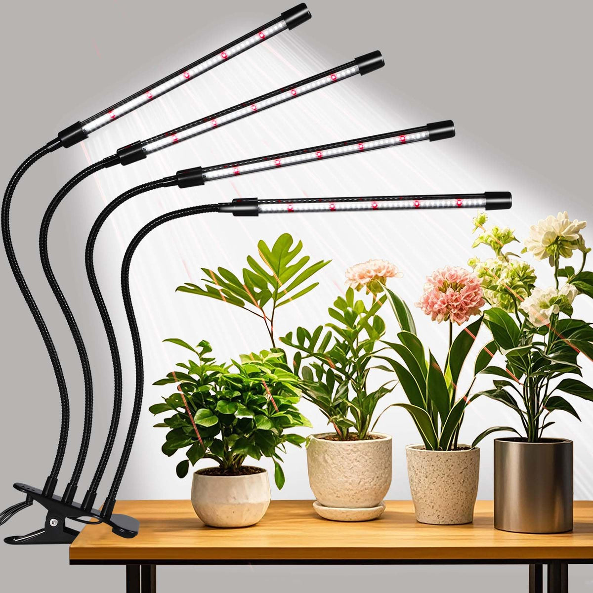 RWNTAO clip-head assembly provides focused light for seedlings.