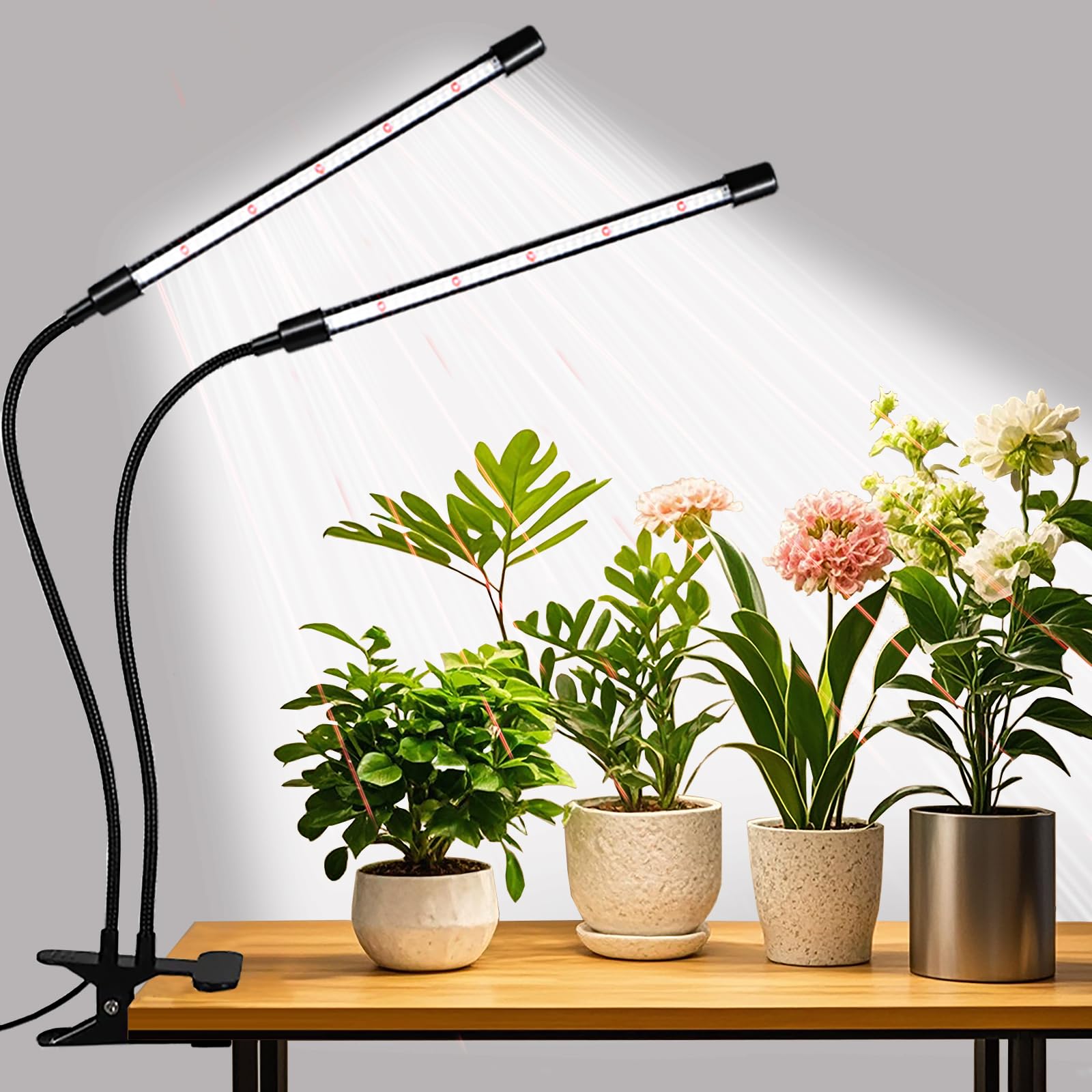 RWNTAO two-head clip grow lights on a plant for robust indoor growth.