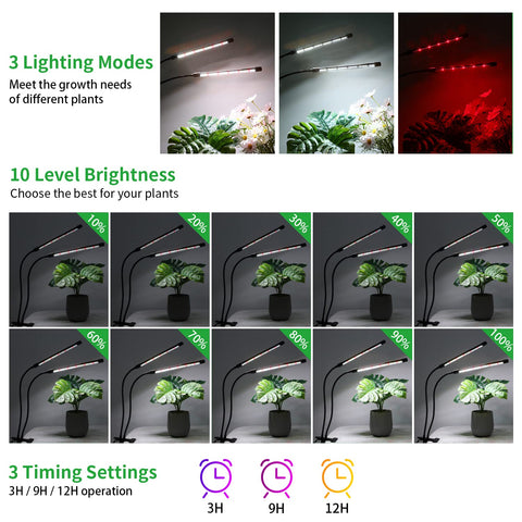RWNTAO timer function demonstrates automatic daily lighting for convenience.