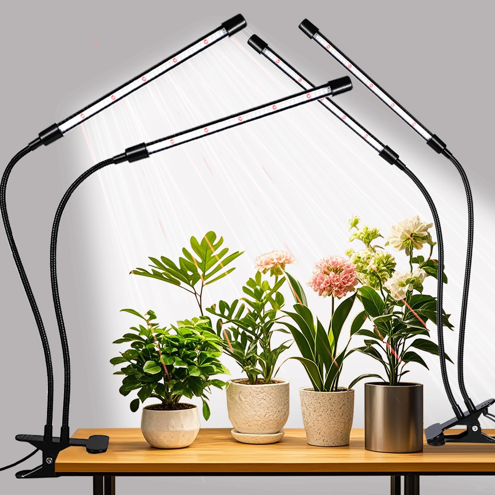 RWNTAO grow-lights-upgraded-clip with full-spectrum LEDs for indoor plants.