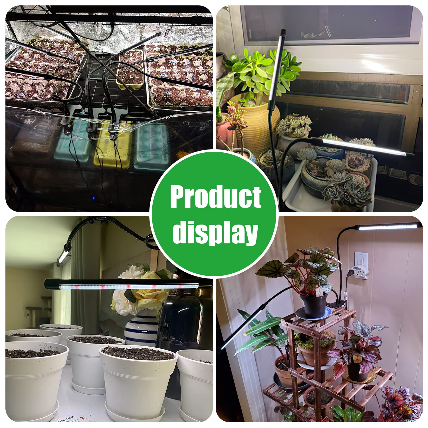 RWNTAO indoor garden on shelf demonstrates space-saving plant care