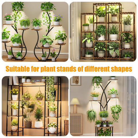 RWNTAO ideal for indoors flowers vegetables and herb shelves