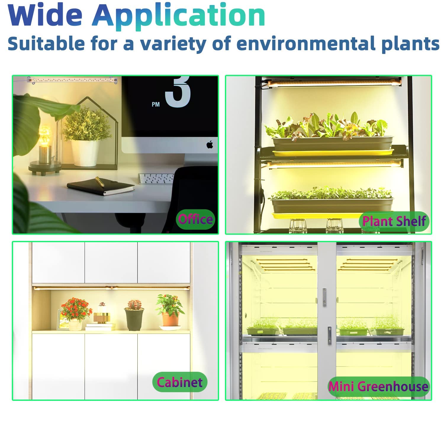 RWNTAO LED plant growing lamp in an indoor greenhouse setup over succulents.
