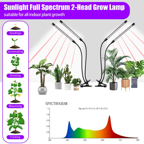 RWNTAO LED plant light full-spectrum in action supporting vegetative growth.