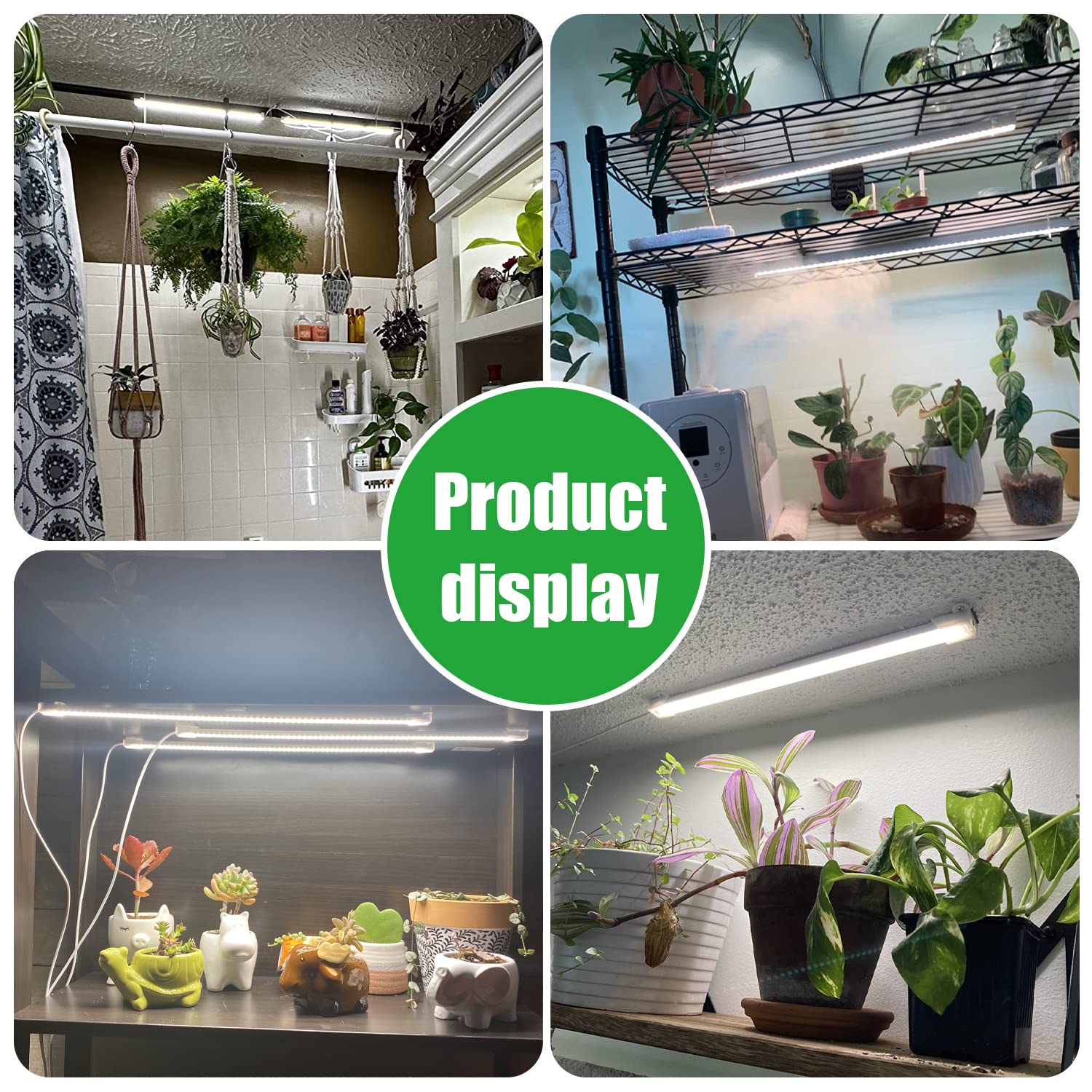 RWNTAO succulent-friendly setup demonstrates versatile indoor use.