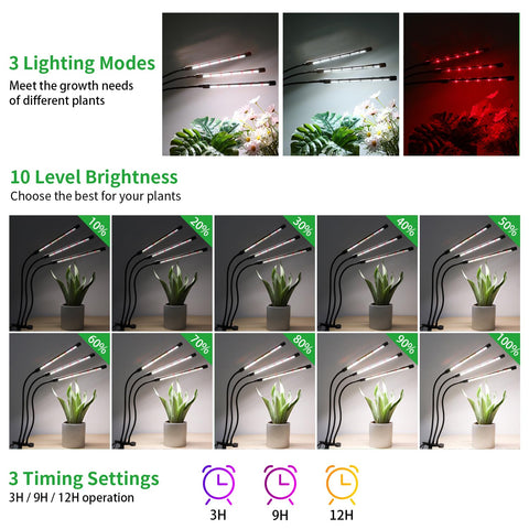 RWNTAO three-bar full-spectrum LED setup supports healthy growth
