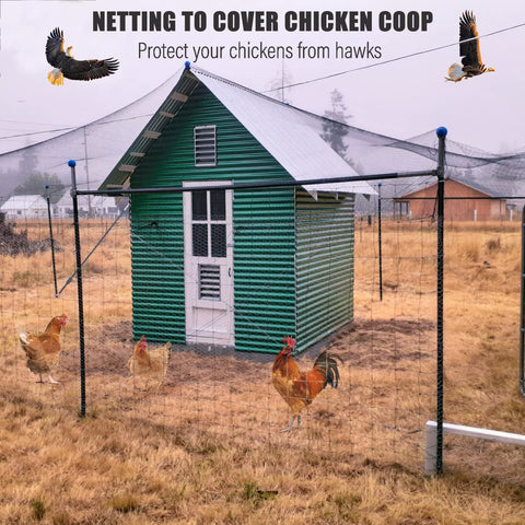 RYHBETH bird netting protects blueberry bushes and fruit trees.