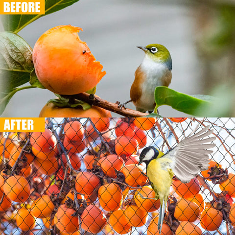 RYHBETH nylon bird netting is UV-proof, durable, and reusable.