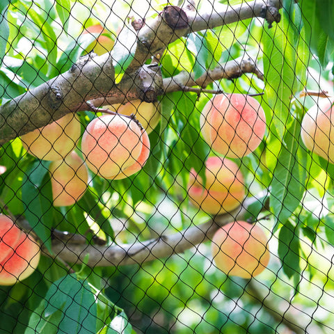 RYHBETH durable UV resistant bird netting designed for outdoor use all year.