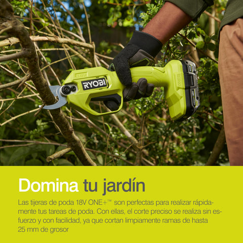 In-action pruning with a steady trigger and smooth control