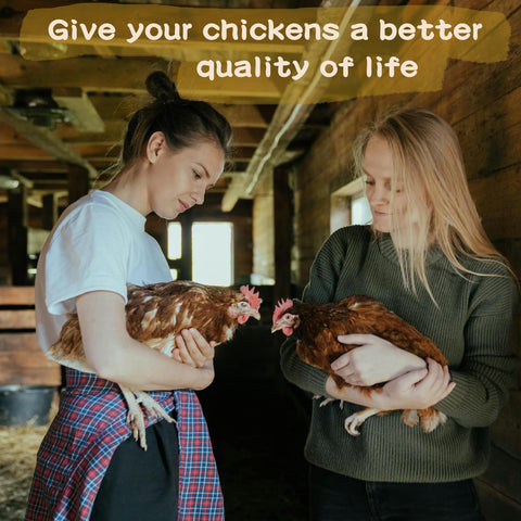 Ryonwise herbs support relaxed egg-laying through natural nesting cues.