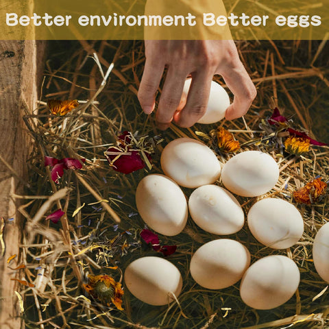 Ryonwise nesting herbs can be used as litter or spread around the coop.