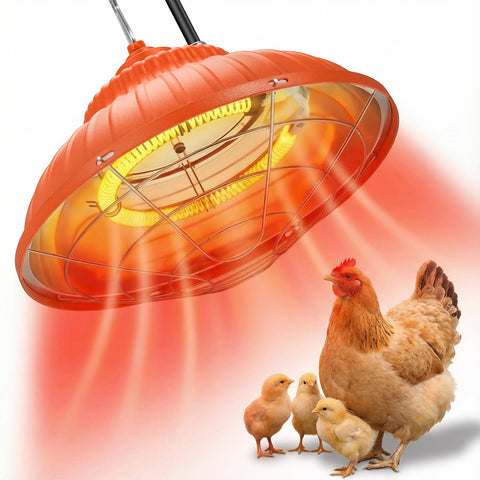 Ryscam chicken heater lamp at 175W providing steady chick warmth