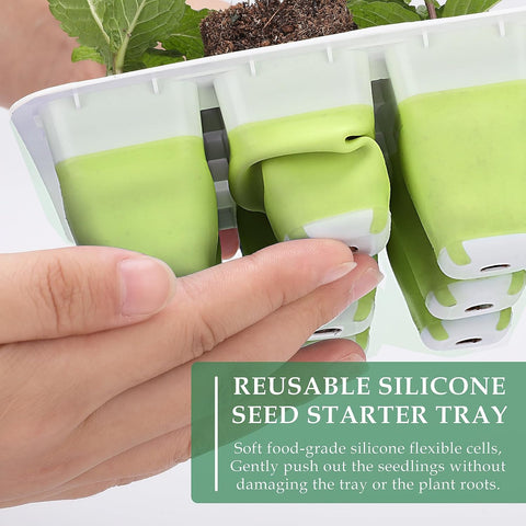 Ryscam seed tray design with drainage holes for better aeration.