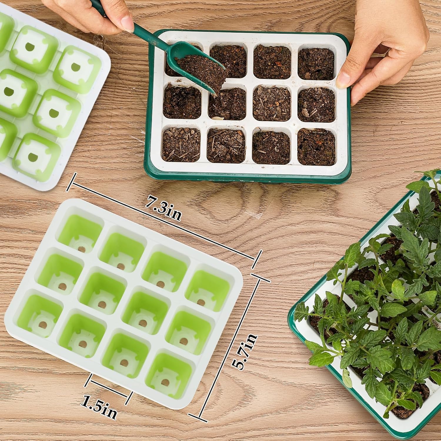 Ryscam durable reusable seed starter kit for several seasons.