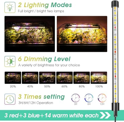 Ryscam grow light setup illuminates seeds for even indoor growth