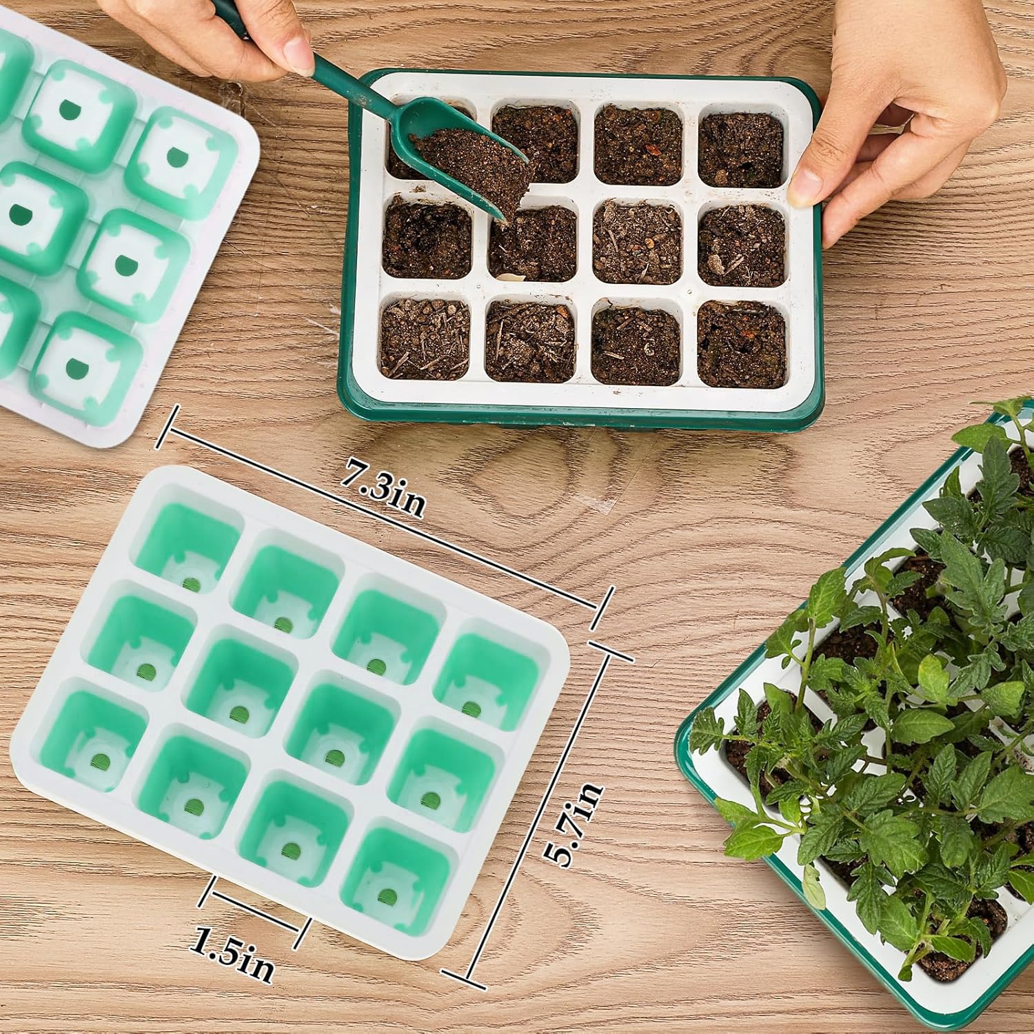 Ryscam indoor germination tray blue supports home seed starting