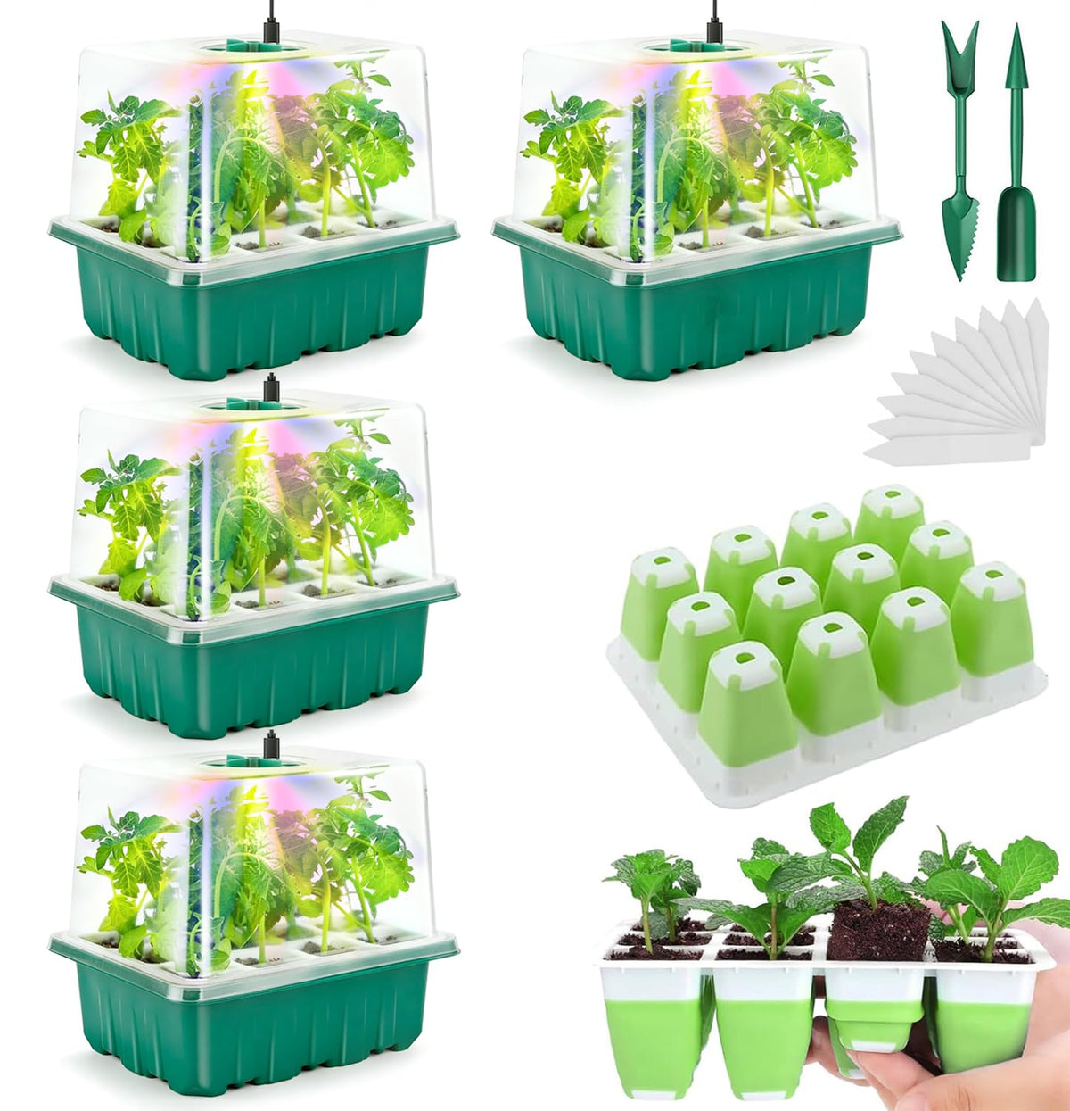 Ryscam seed starter tray with grow lights and humidity dome for germination