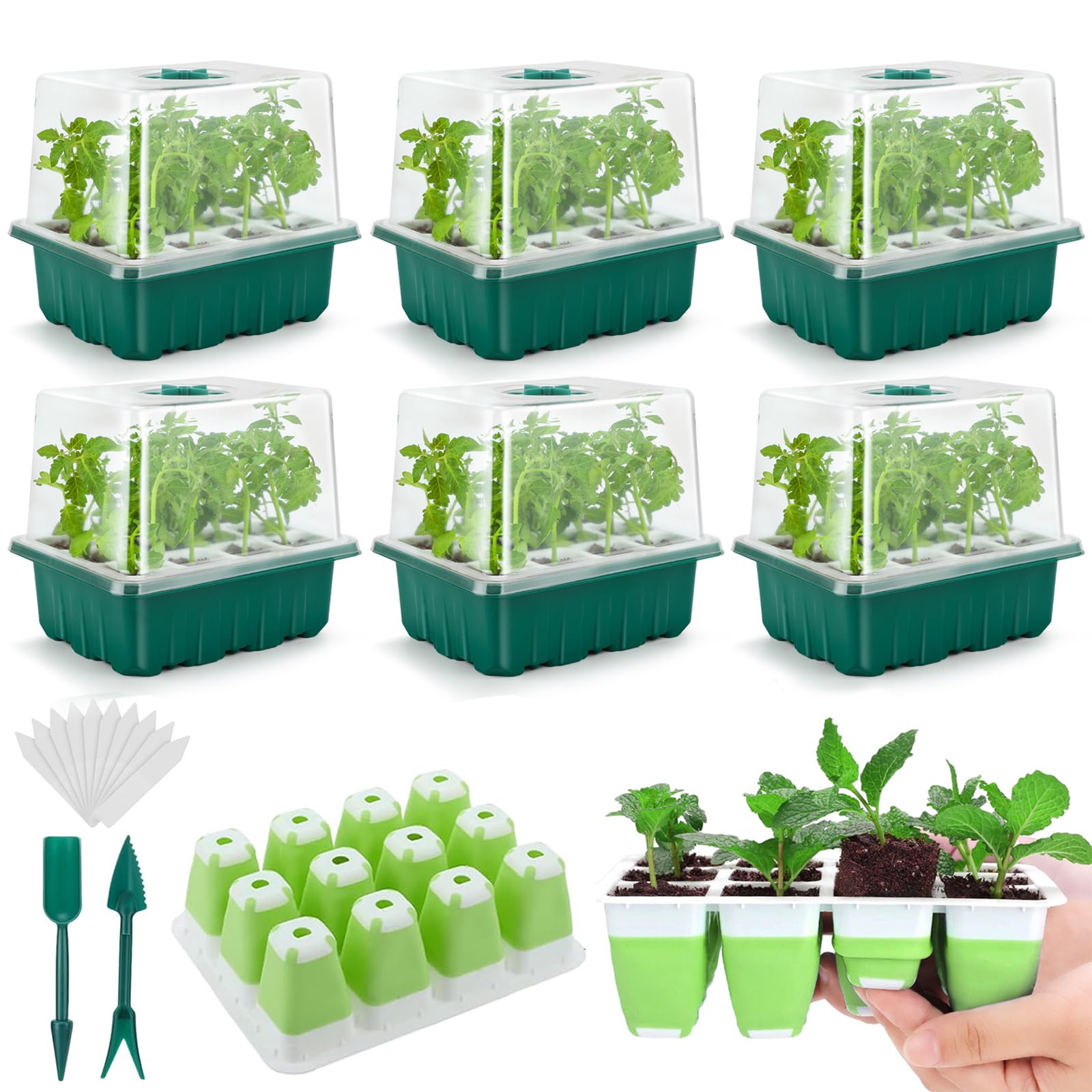 Ryscam seed starter tray with humidity dome aids germination and moisture control.