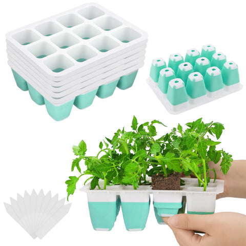 Ryscam seed starter tray blue six-pack for easy germination and reuse