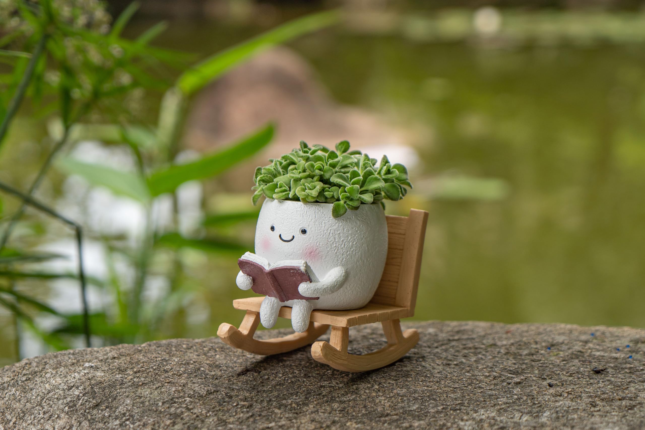 Gift-ready RZOIKZOI planter for desks, shelves, or gardens
