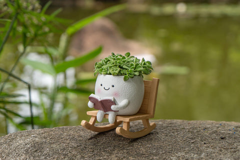 Gift-ready RZOIKZOI planter for desks, shelves, or gardens
