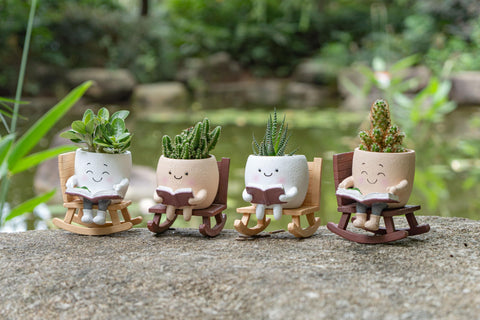 RZOIKZOI gift-ready smiley planter delights any home, garden, or desk.