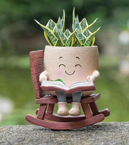 RZOIKZOI indoor-outdoor plant pot for versatile use
