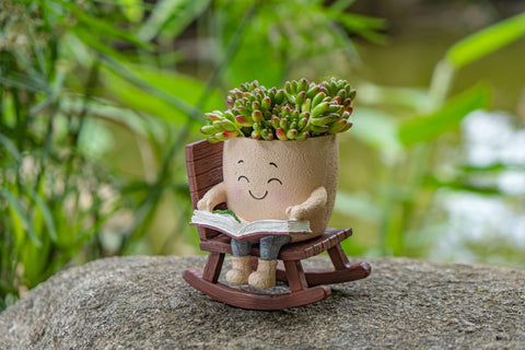 RZOIKZOI succulent planter on a rocking chair display
