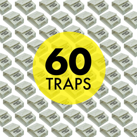 S&T INC. ready-to-use enclosed trap folded and ready to place near hiding spots.