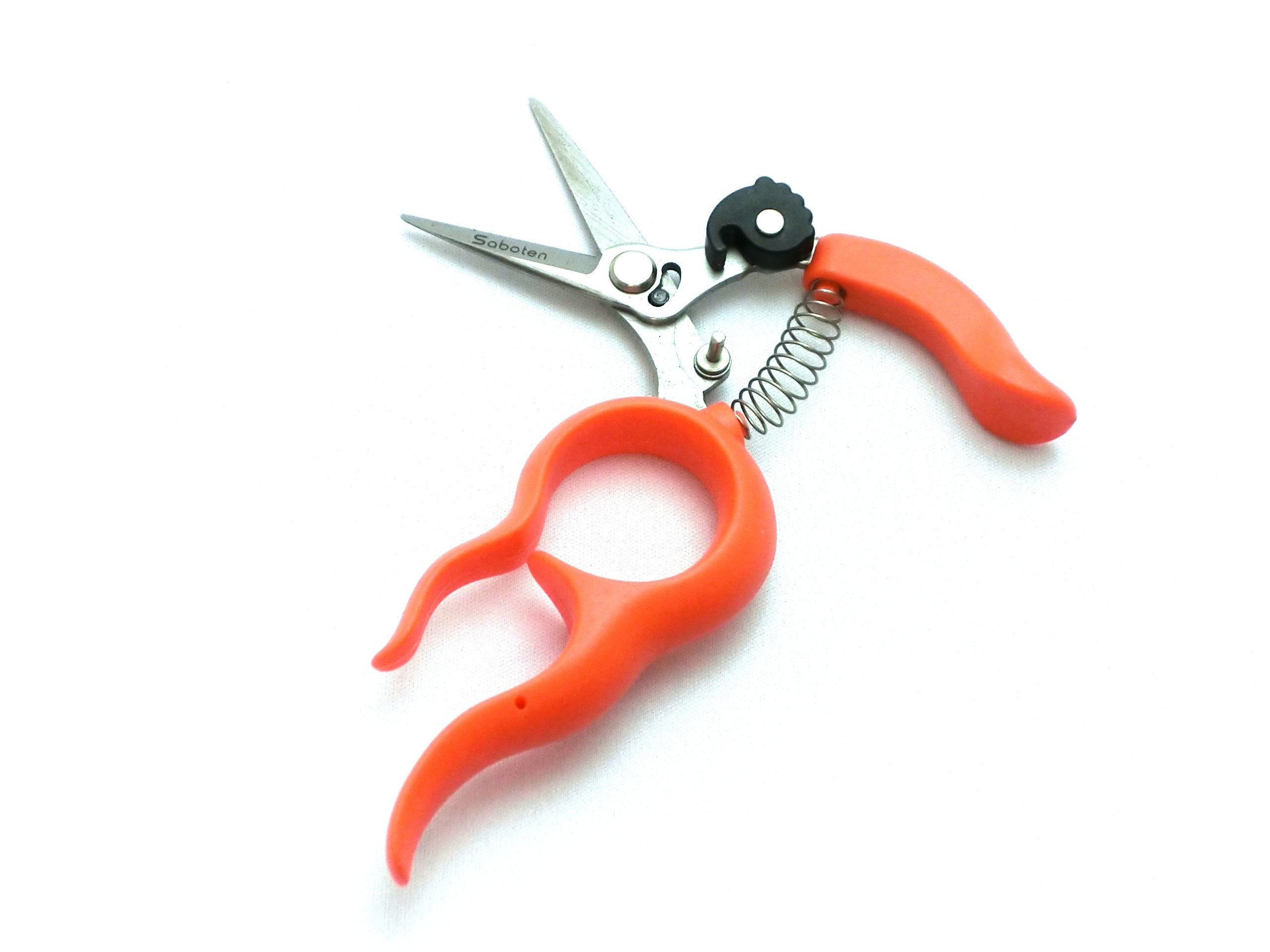 Saboten hold-free harvest scissors 1318S enable one-handed vegetable harvesting