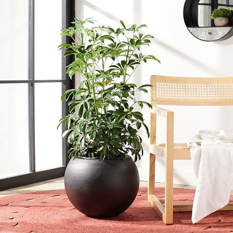 SAFAVIEH Kenslia planter side view highlights bold form for contemporary patios.