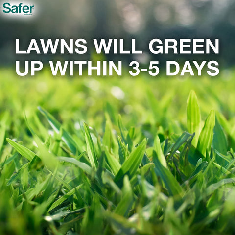 Safer Brand Lawn Restore promotes quicker greening of grass after spreading.